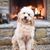 Felina Wakefield's profile image