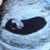 Kandice N Craig Grubb's profile image