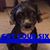 Karen Ronning's profile image