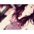 Lůla Gomez's profile image