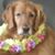 Mary Turner's profile image