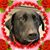 Amy Hanks's profile image