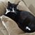 Patricia Janzer's profile image
