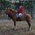 Cathy Leinert Whitehead's profile image