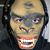 Rafael Bassini's profile image