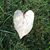 Deb Miner's profile image
