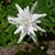 Nancy Lukason's profile image