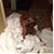 Lorilin Gibbens Braymer's profile image