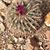 Michele Marie Steffens's profile image