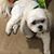 Kerrie Anderson's profile image