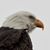 Teresa Quitter's profile image