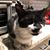 Harry R. Knabe's profile image
