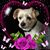 Cathy Buckman Gignac's profile image