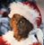 David Lanchester's profile image
