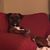 Noel Giles's profile image