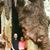 Barbara Tahir's profile image