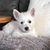 Kelly Clare Orzechowski's profile image