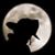 Evan Satterlee's profile image