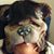 Vera Dreher's profile image