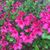 Terrie Richards Chisholm's profile image