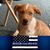 Angi Rayfield's profile image