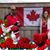 Jayme Klassen's profile image