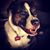 Audra Angelique's profile image