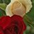 Guille Aguirre's profile image