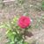 Mar Ortiz's profile image