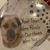 Eileen Ginter's profile image