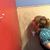 Serenity Dawn Wetherbee's profile image