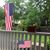 Sharon Callahan McColl's profile image