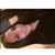 Vanessa Sánchez's profile image