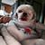 Lori Gongola's profile image