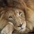 Kathy Burnett's profile image