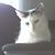 Holley Kasten's profile image