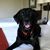 Smarty Jones's profile image