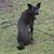 Judy Gergen's profile image