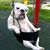 Barry Ruck's profile image