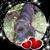 Beth Dean's profile image