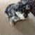 Sandy Popp Cohen's profile image
