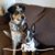 Christina Mersch's profile image