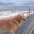 Kim Pope's profile image