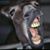 John Woodruff's profile image