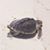 Kelley Furgurson Brown's profile image