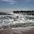 Joyce Leichty's profile image