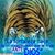 Jose Magallanes's profile image