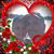 Terri Mercer Strout's profile image