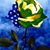 Debra Press's profile image