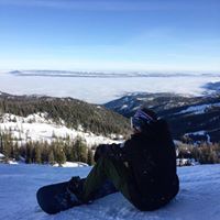 Austin Sweeney's profile image